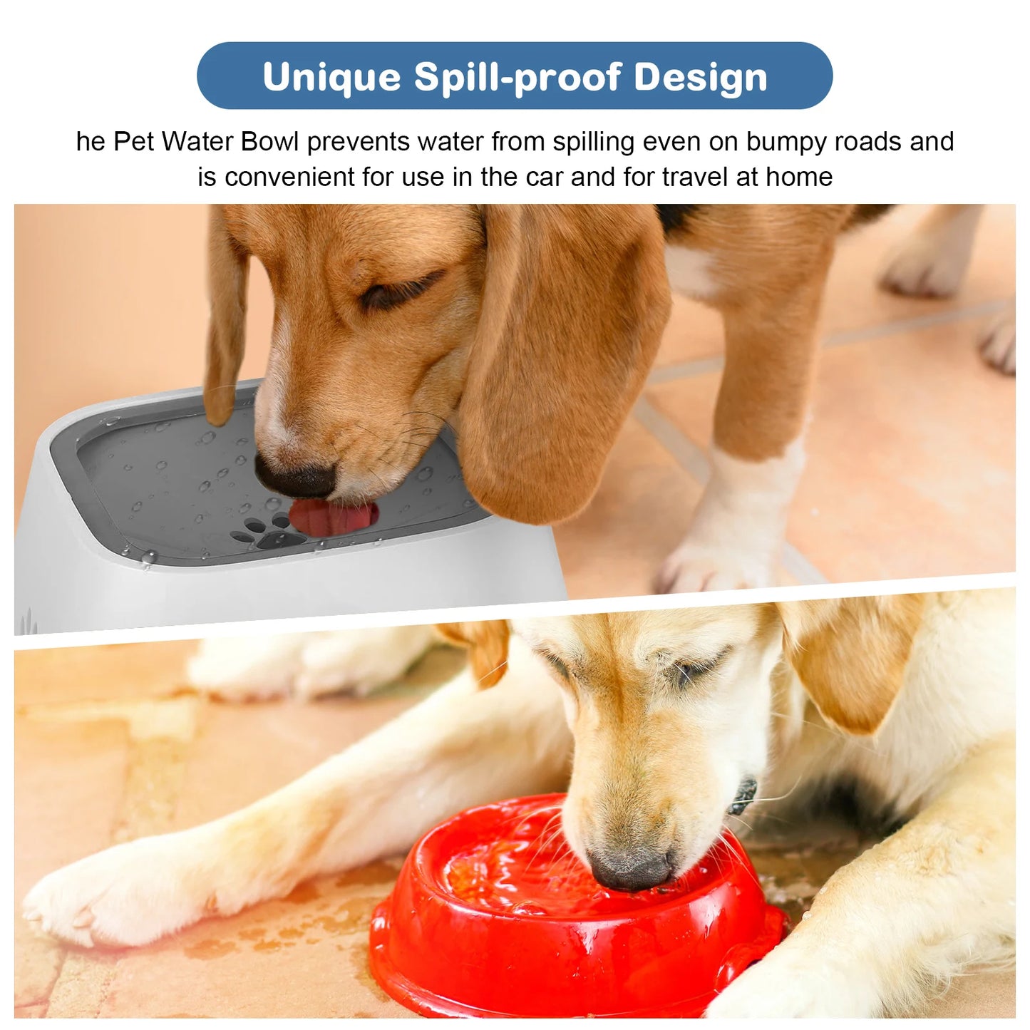 Anti-spill hundskål